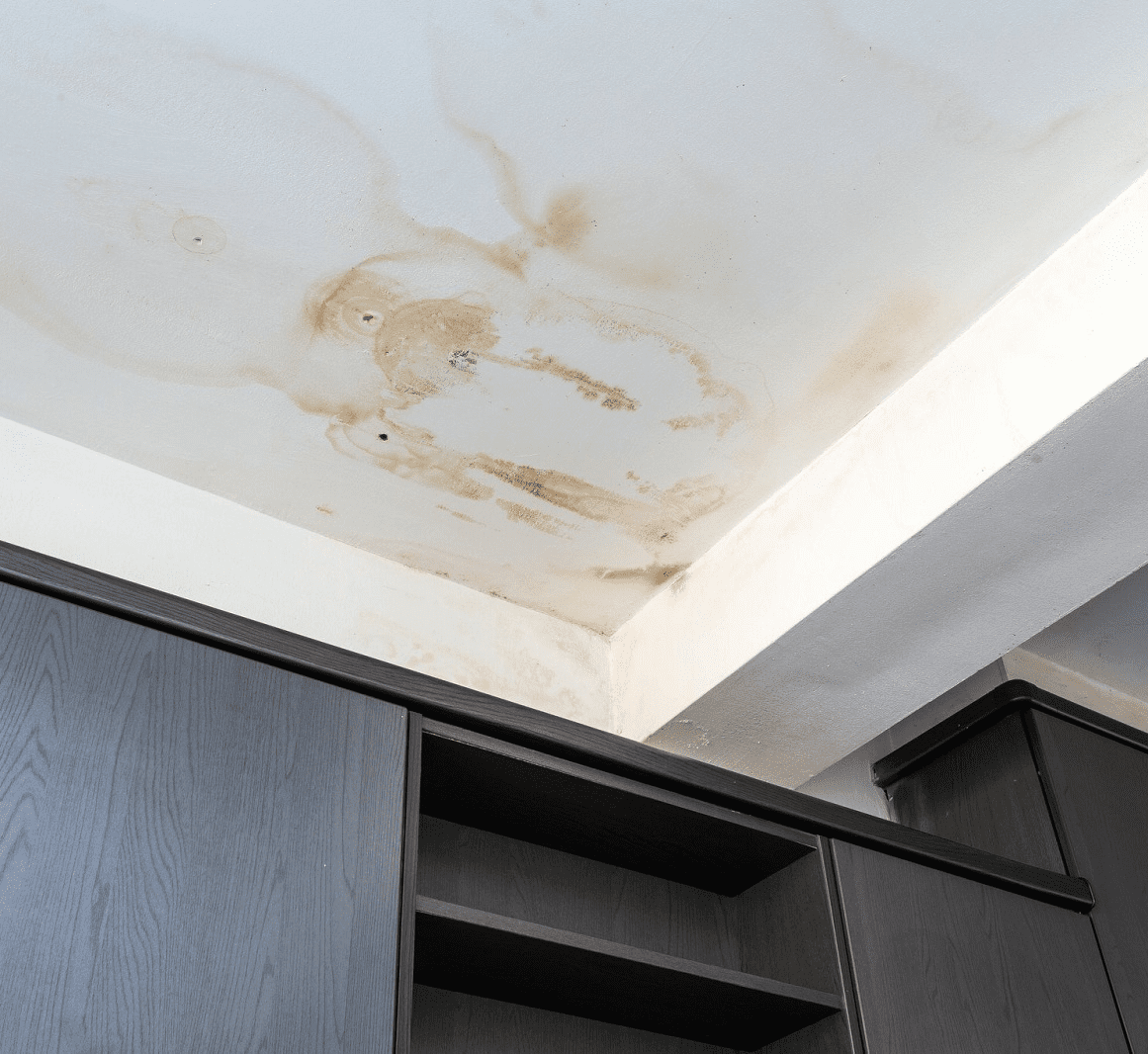 Leaky Roof Repair Bradenton 