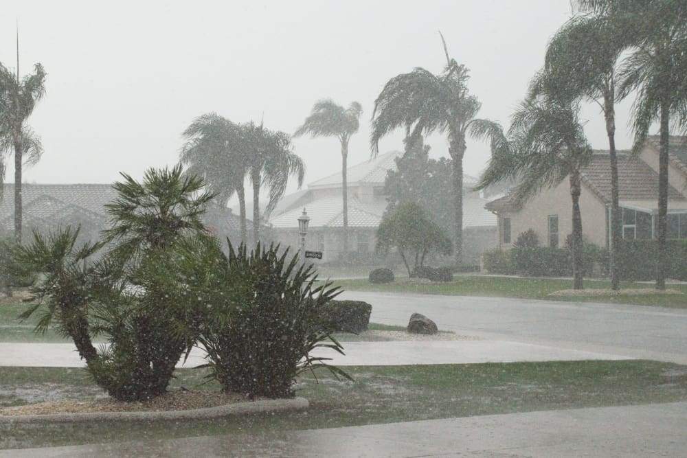 Preparing Your Roof for Hurricane Season: Essential Steps to Protect Your Home