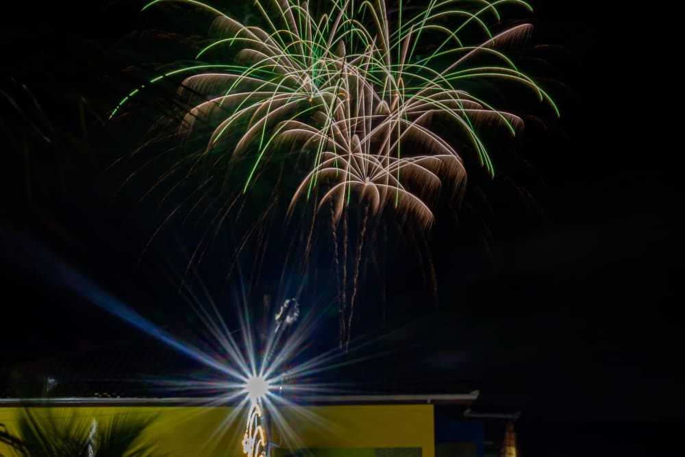image of fireworks