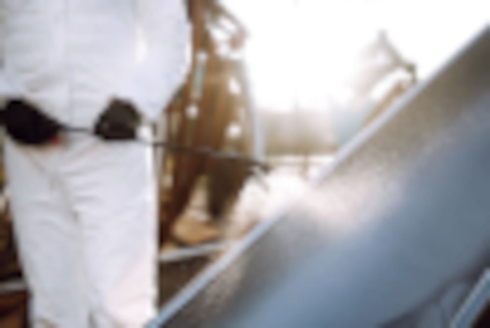 How to Clean Your Roof and Who Should Do It?