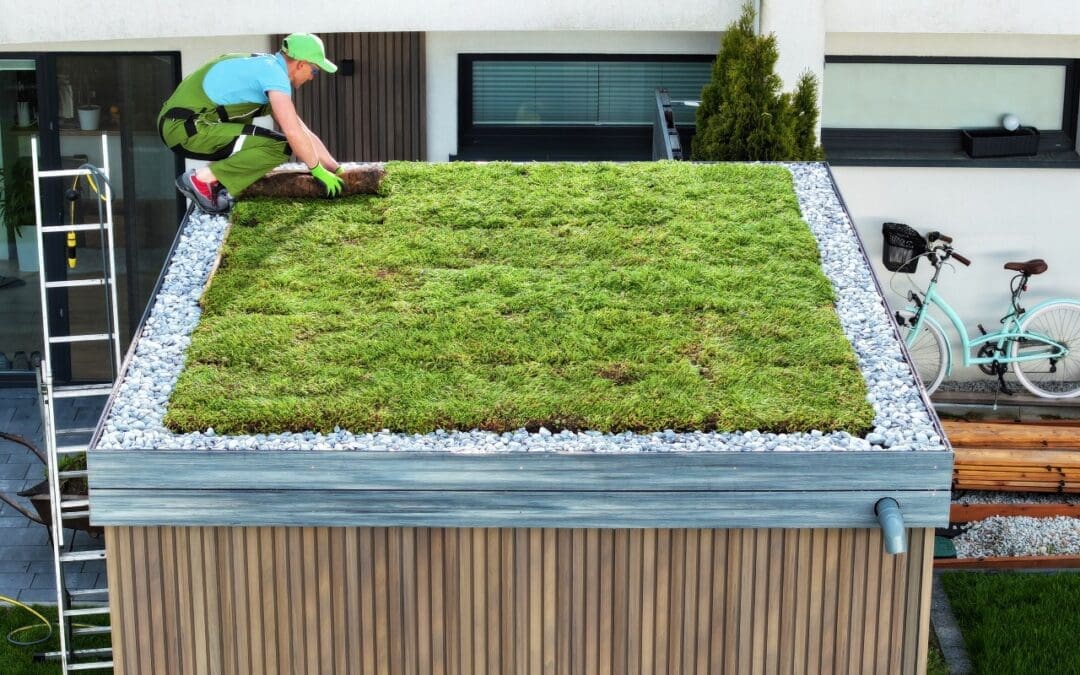 image man on a green roof
