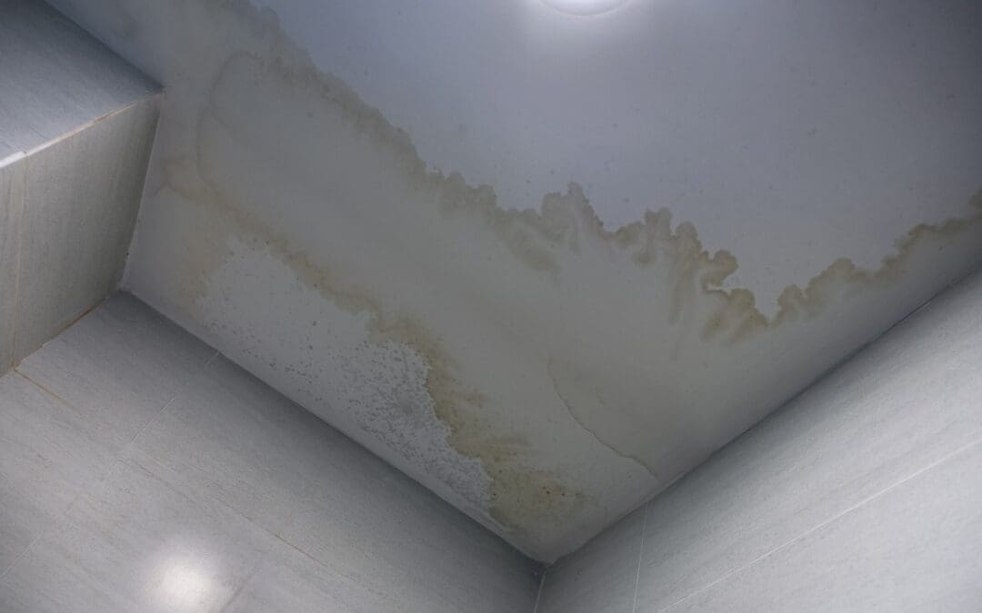 Common Causes of Commercial Roof Leaks in Florida